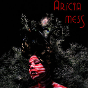 Onde Mora O Segredo/Where Secrets Dwell