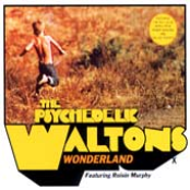 the psychedelic waltons feat. roisin murphy