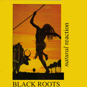 Strange Land by Black Roots