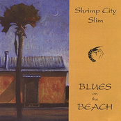 Blues on the Beach