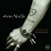 Summertime by Aaron Neville