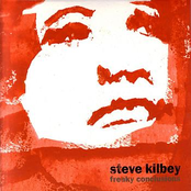 An Arrangement by Steve Kilbey