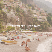 The Wilder I Used To Be