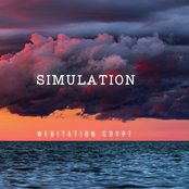 simulation