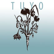 tuyo