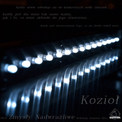 Zmysły Nadwrażliwe