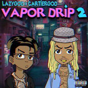 VAPORDRIP 2