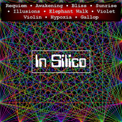 In Silico