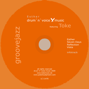 Toke  Reflection / Vista