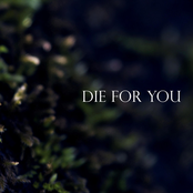 Die for You