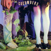 Tiger by The Cucumbers