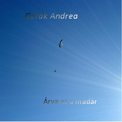 Árva az a madár - Lonely Is The Bird