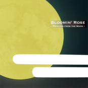 Princess from the Moon