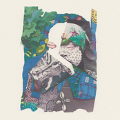 Jembaa Groove: Adesane (Pachakuti Remix)