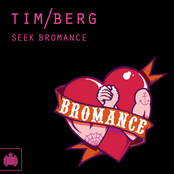 Bromance (avicii's Radio Edit) by Tim Berg