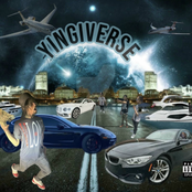 YINGIVERSE