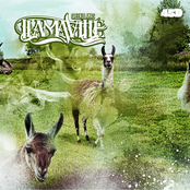 Llamaville