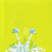 The Winks / Tights Split