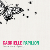 No Common Ground by Gabrielle Papillon