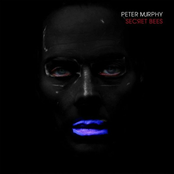 Good Works by Peter Murphy