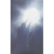 太陽アレルギー