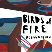 Birds of Fire: Reinvention