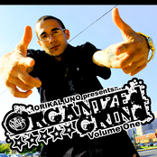 Organized Grind: Volume One