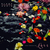 Blaqk Audio: Only Things We Love