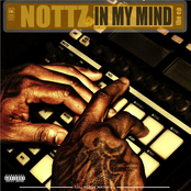 Cars by Nottz