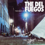The Del Fuegos: The Best Of The Del Fuegos : The Slash Years