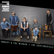 The Denmark Project