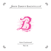John Zorn's Bagatelles (Vol. 13-16)