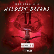 Wildest Dreams: The Remixes - EP