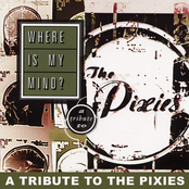 Where Is My Mind? (A Tribute To The Pixies)