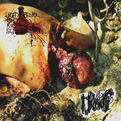 Urethrotomy By Stupid Rusty Scissors / Drochills