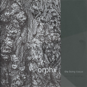 Mother Tongue by Orphx