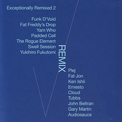 Exceptionally Remixed 2