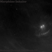 Walking Through The Woods