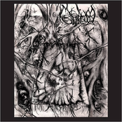 Mycelium Shroud