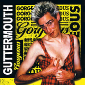 Encyclopedia Brown by Guttermouth