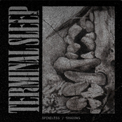 Spineless ⁄ Shadows
