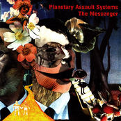 Beauty In The Fear by Planetary Assault Systems