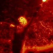 Lust Feels Like Bad Luck