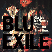 O Heaven by Blu & Exile