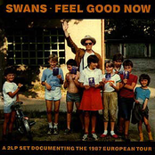 Various Audience Tricks by Swans