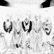 stereowarfavouritesband