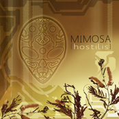 Mimosa: Hostilis