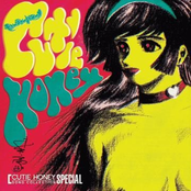 Cutie Honey Song Collection Special