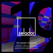 The Selador Showcase 19 (DJ Mix)