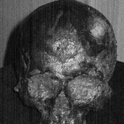 Dried Corpse Catacombs Archive